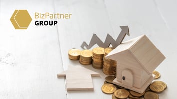 flipping_image_blog_bpg