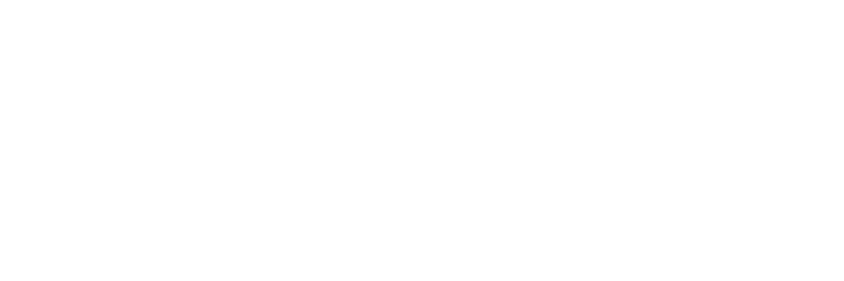BizPartner Group